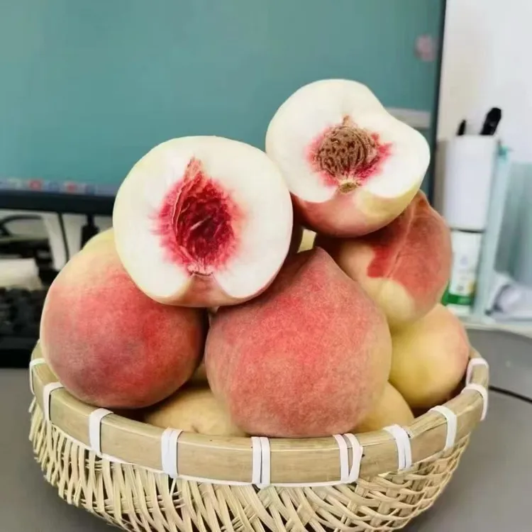 2号链接 - 丹东河口新鲜现摘精品秋白桃桃应季水果鲜甜多汁