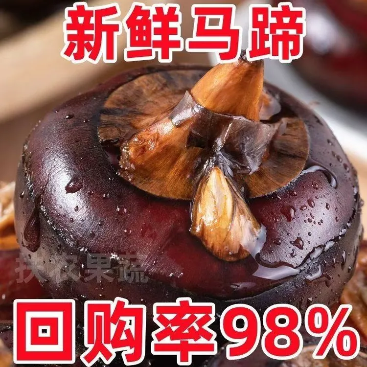 【免清洗】新鲜马蹄荸荠现挖现发清甜多汁地梨蒲秋3-5斤农家自产