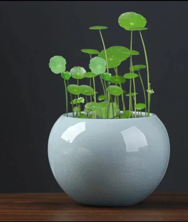  汝窑茶渣缸·天青色新中式复古家用大号日式个性创意手工陶瓷建水