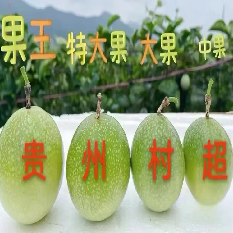榕江百香果新鲜现摘当季水果香甜多汁营养丰富