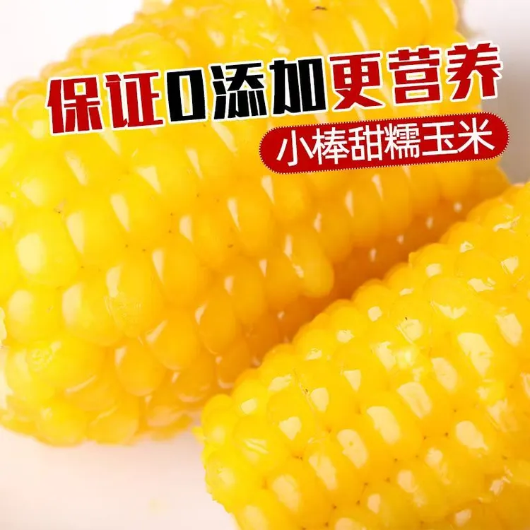 【12根赠1根】25年头茬小糯九黄糯玉米软糯香甜铝箔锁鲜整箱4斤