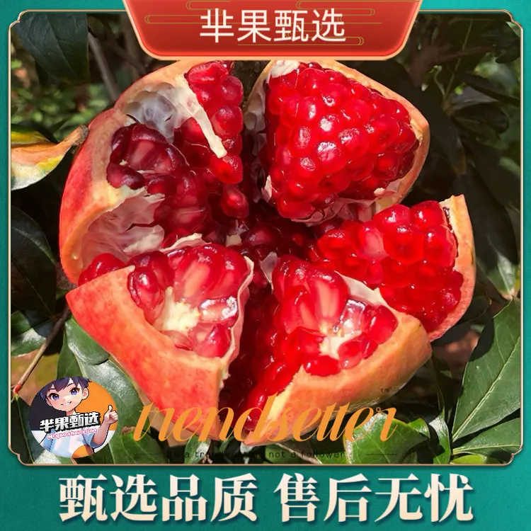 四川会理突尼斯软籽石榴整箱批发新鲜水果当季红宝石无籽特大水果