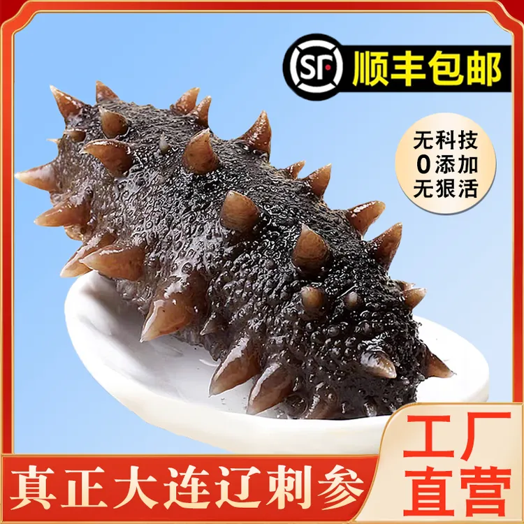 大连辽参Q弹嚼劲刺参鲜活加工海参鲜食海参500g鲜蒸海参