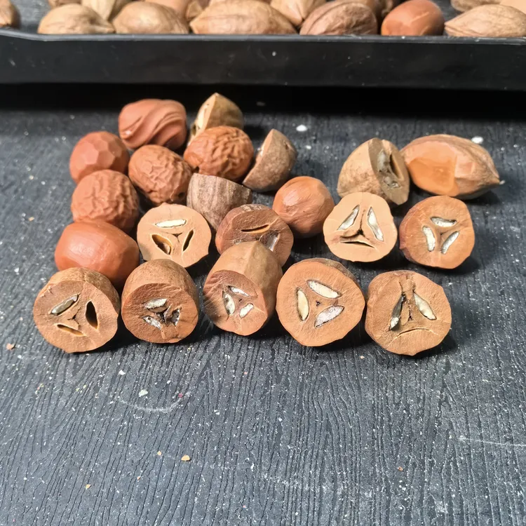 大枣，扭转乾坤，桶珠，拉丝雕刻料。