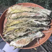 1【雪-莲-花】净含量100g-500g【丹丹现收】
