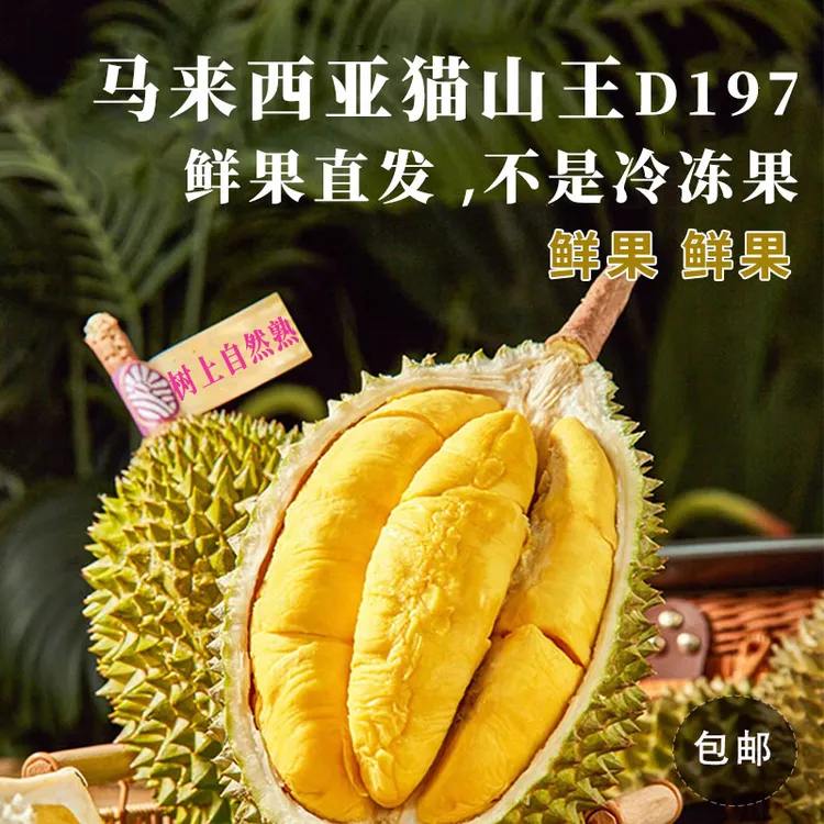 正宗鲜果猫山王榴莲D197马来西亚进口新鲜榴莲带壳收到即食包邮