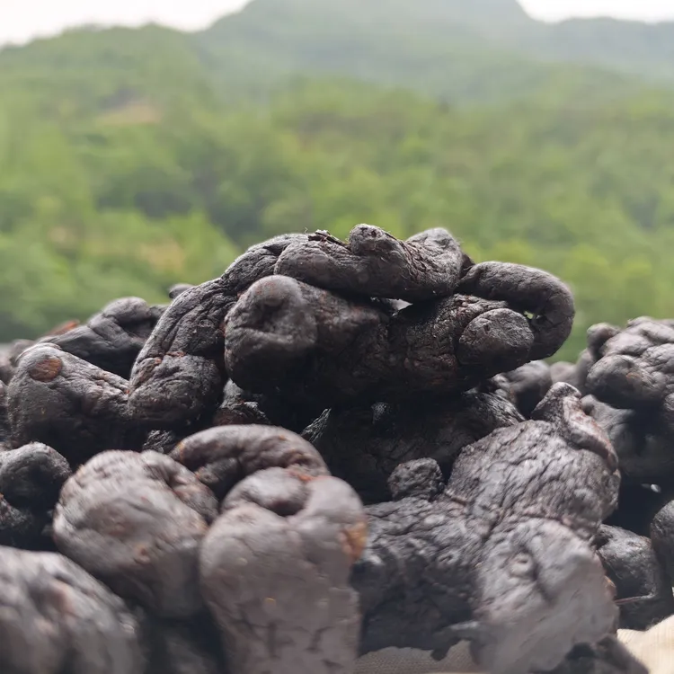 10年以上黄精果九蒸九晒古法炮制开袋即食泡水泡酒（升级独立包装）