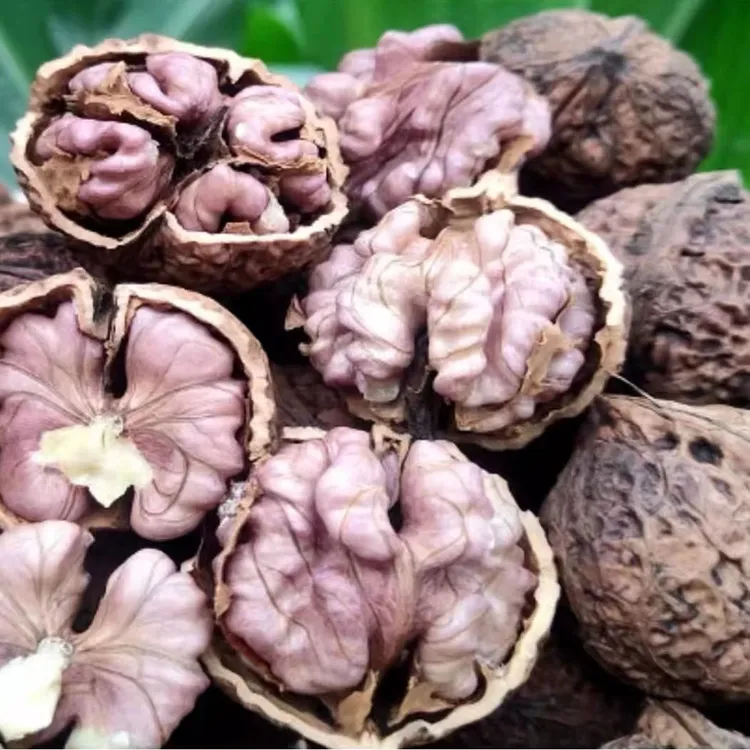 贵州新鲜去青皮本地小核桃营养美味孕妇干核桃