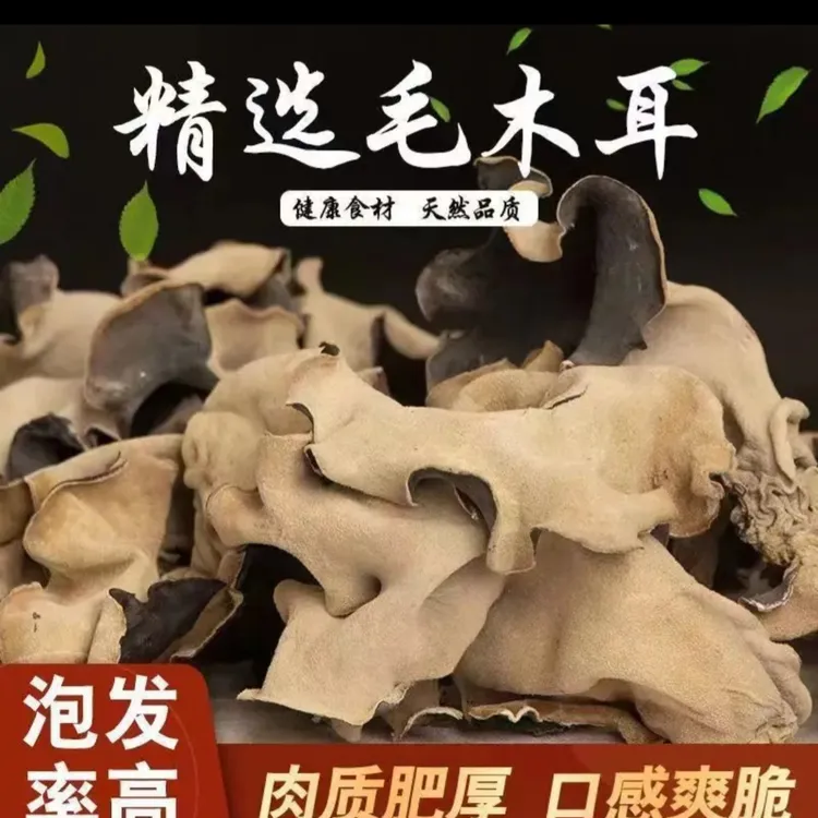 脆木耳干货单片无根适合餐饮火锅的白背毛木耳中药饮片