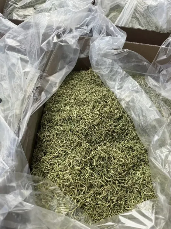 2025头茬金银花正宗山东平邑干金银花茶不熏硫