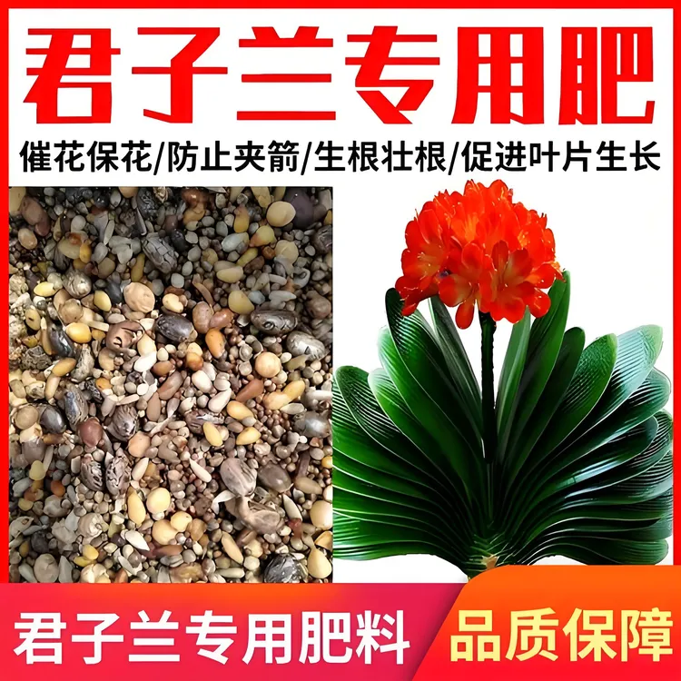 君子兰优质专用腰肥油性物质肥料松仁小麻子油葵蓖麻子黄豆