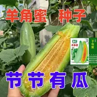 【满五包包邮】甜脆羊角蜜种子羊角酥甜瓜种籽香瓜密薄皮春易种抗