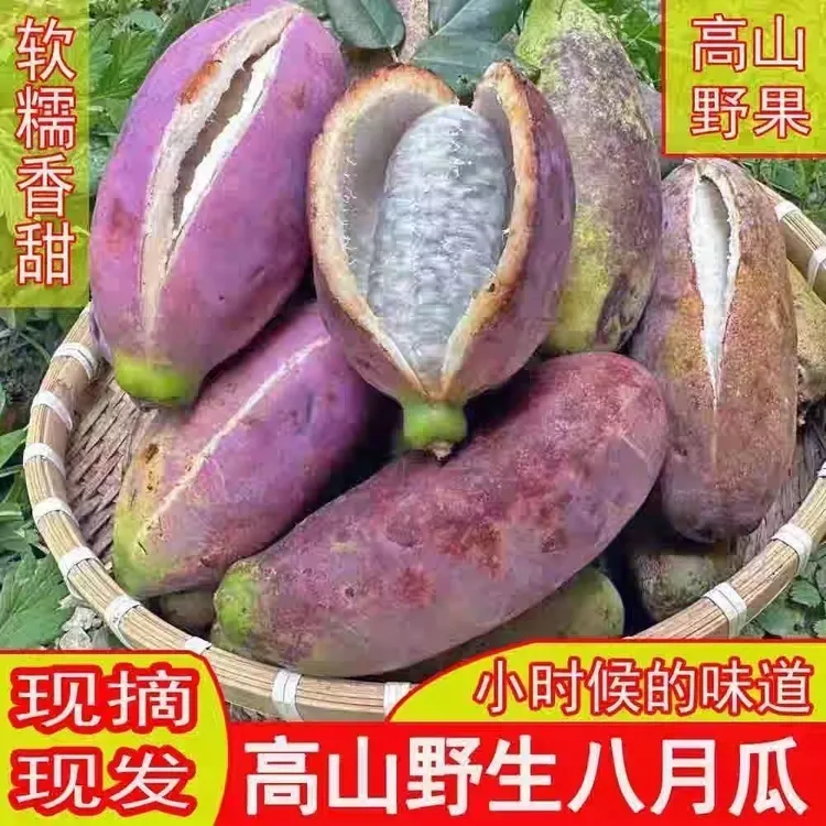 【软糯香甜】深山八月瓜新鲜水果八月炸牛卵坨野香蕉九月黄孕妇果
