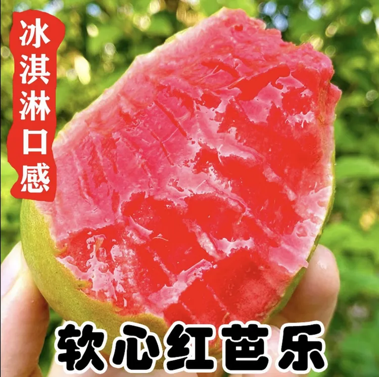 正宗广西玉林新鲜软糯香甜软心芭乐红心芭乐白心番石榴应季水果