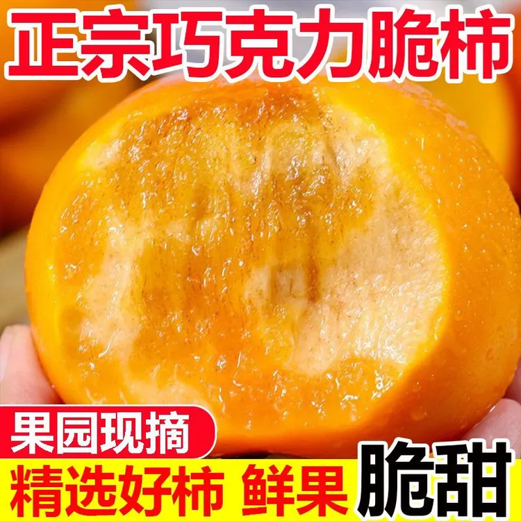5斤脆柿子】新鲜采摘巧克力脆柿冰糖心无核当季应季水果脆甜不涩口