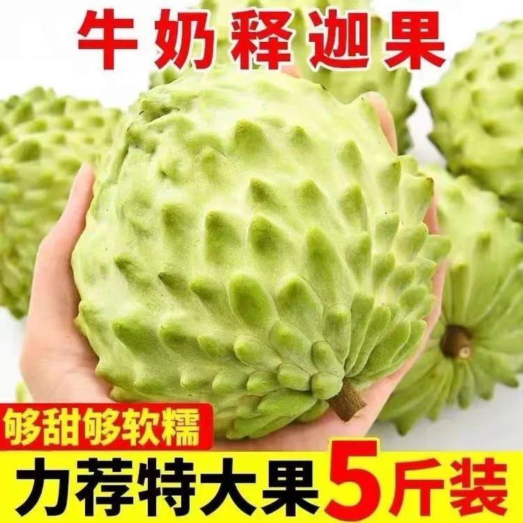 广西释迦果新鲜凤梨释迦果香甜多汁冰淇淋口感热带水果