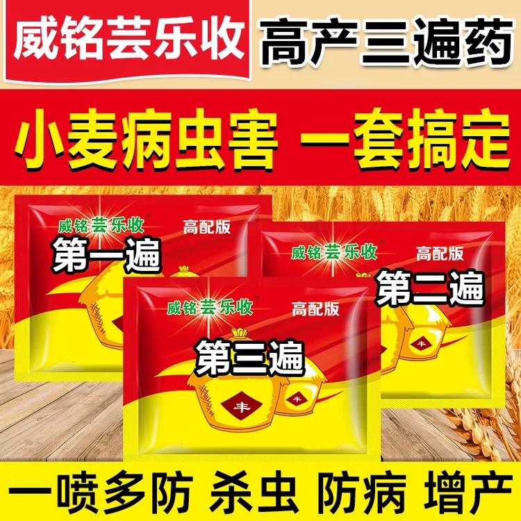 威铭芸乐收小麦专用三遍药叶面肥