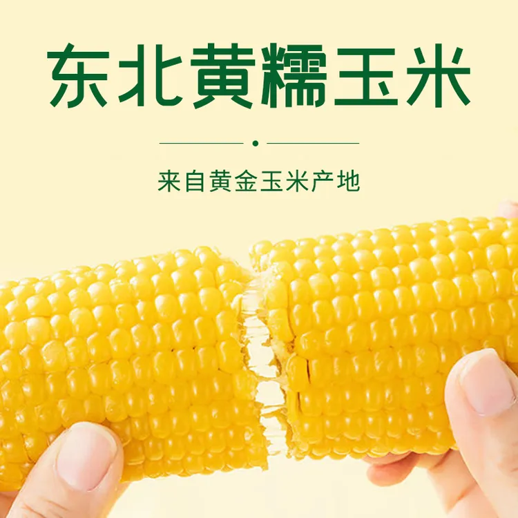 【黄糯12根试吃4根】透明真空东北黄糯玉米软糯香甜4.5-5斤左右商品图