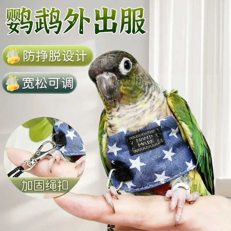 鹦鹉遛鸟神器户外放飞牵引服轻盈不勒防飞丢多型号鸟用放飞绳CJS