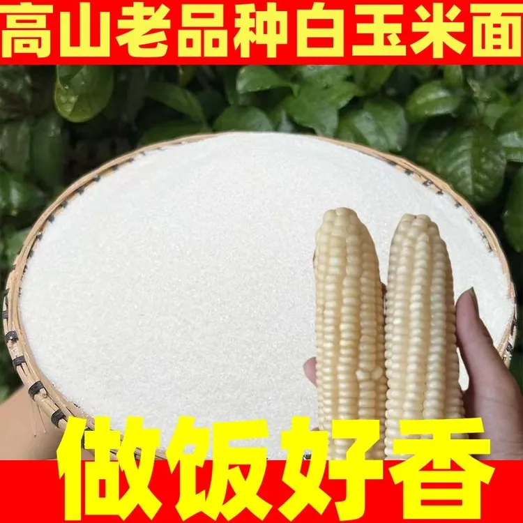 【好香】农家特产包谷玉米玉米面现磨面粉苞米棒子面玉米粉苞谷饭