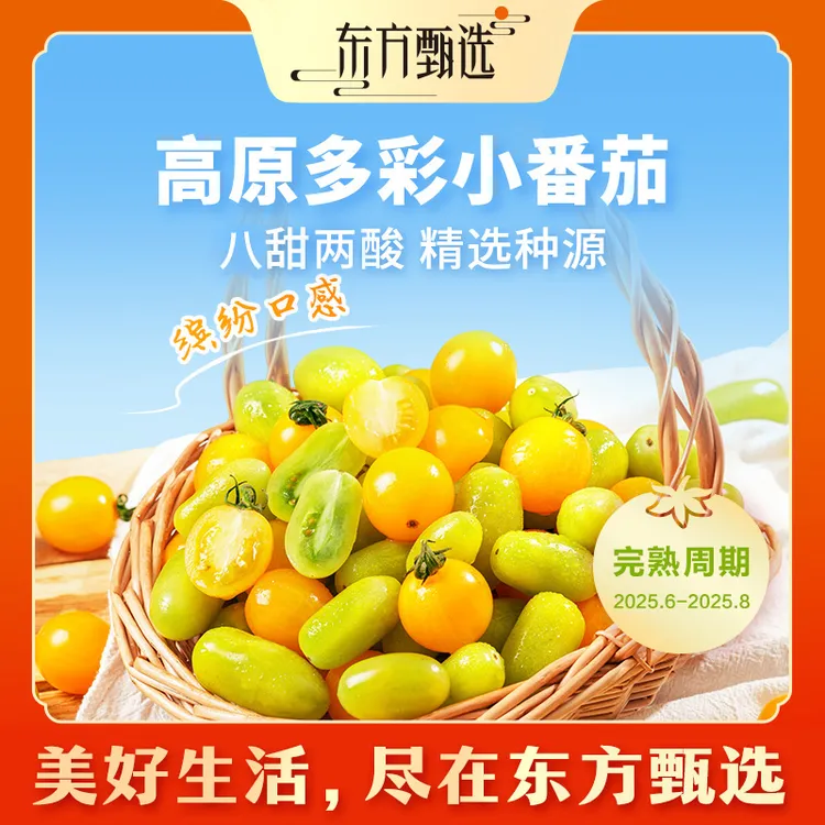 东方甄选自营高原多彩小番茄西红柿脆甜爆汁新鲜应季水果坏果包赔