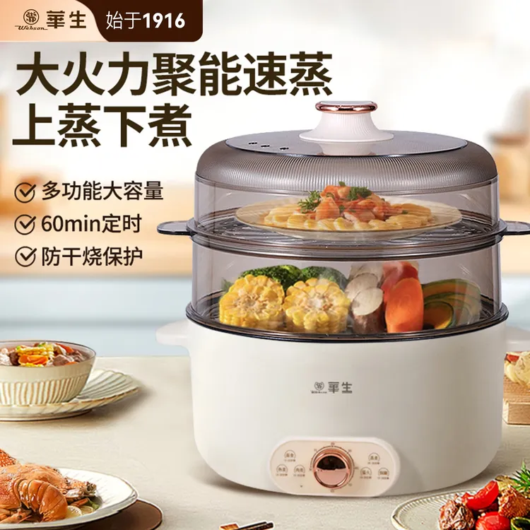 wahson/华生家用大容量多功能电蒸锅多功能一体电炒锅蒸锅HZ50