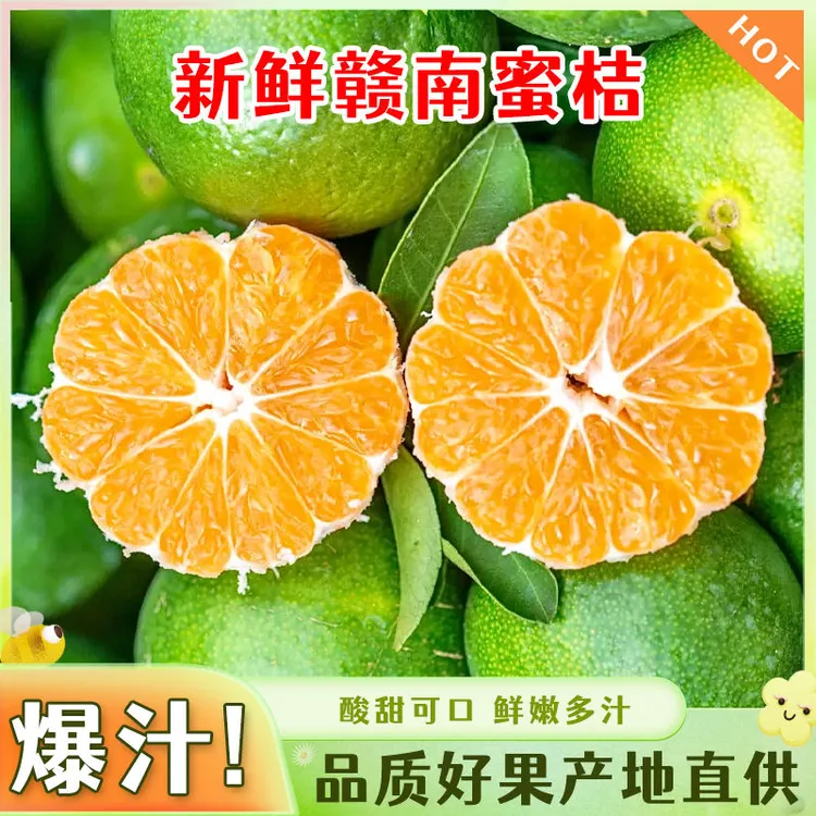 [蜜橘之乡]正宗新鲜寻乌青皮蜜橘薄皮多汁无籽现摘现发应季水果