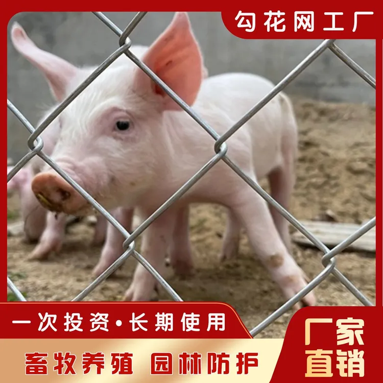 热镀锌勾花网批发用于果园防护及养鸡牛羊等养殖的铁丝网围栏钢丝