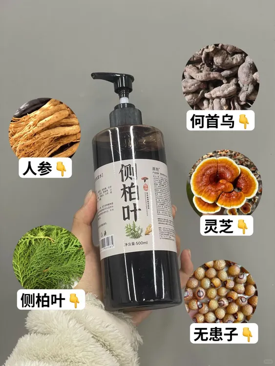 热卖正品潮抱侧柏叶洗发水去屑控油生姜何首乌 Z皂角无硅油洗发液