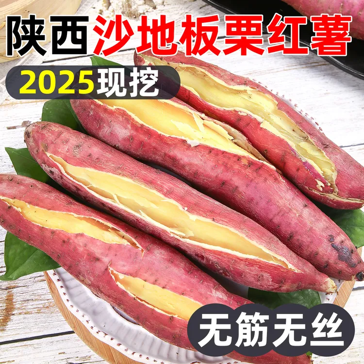陕西沙地板栗红薯新鲜现挖粉糯甘甜干面无丝无筋番薯