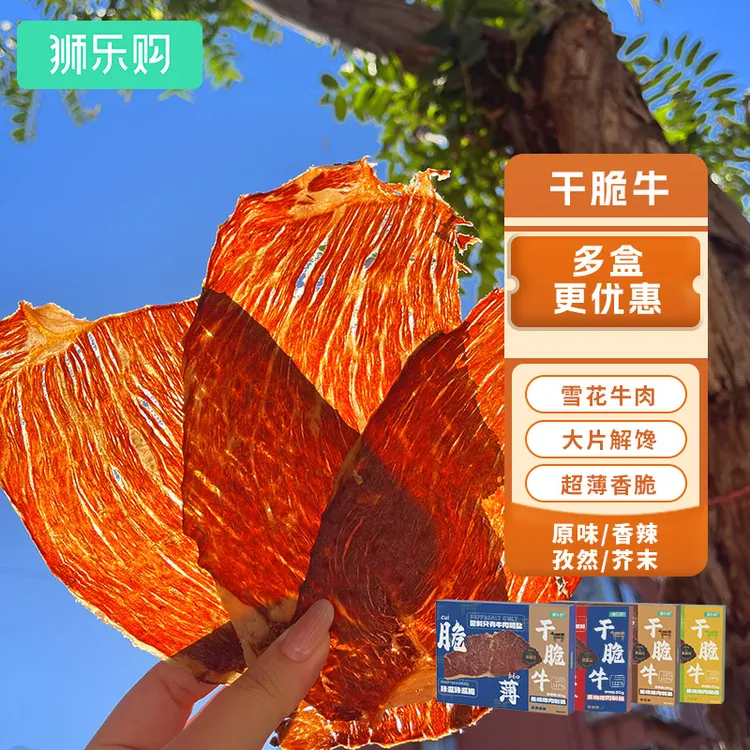 狮乐购干脆牛脆脆内蒙古风干雪花牛肉脆片零食极简配料牛排
