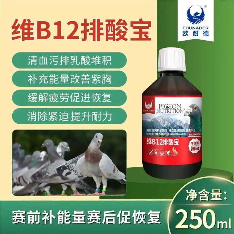 欧耐德排酸宝鸽子零食用品