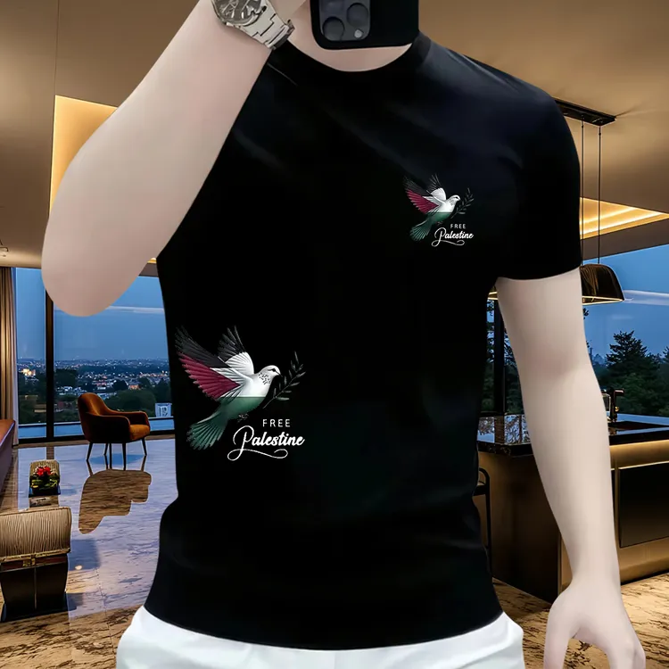 100%纯棉休闲2025年夏款短袖t恤男款爆款2025新款高级感男装上衣