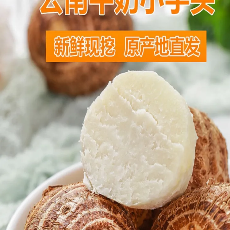 云南新鲜高山牛奶小芋头现挖现发