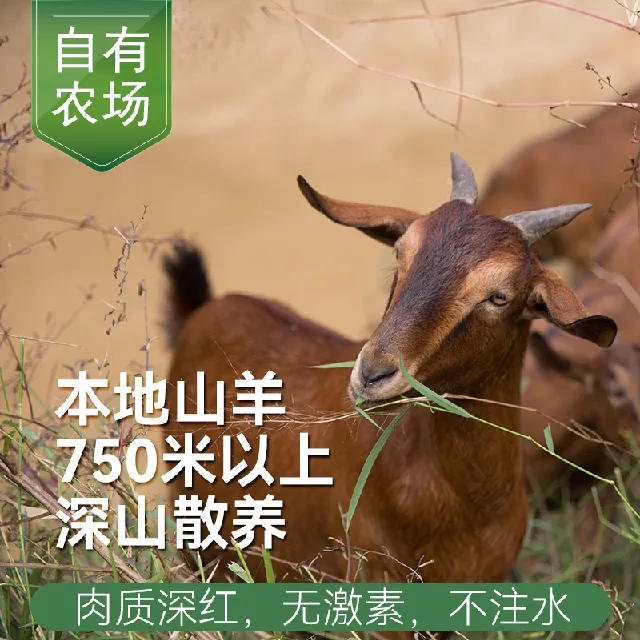 武夷一方田深山散养跑山羊去头去内脏无抗无激素本地羊腿羊肉羊排