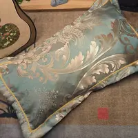 息肌丸枕头  一个