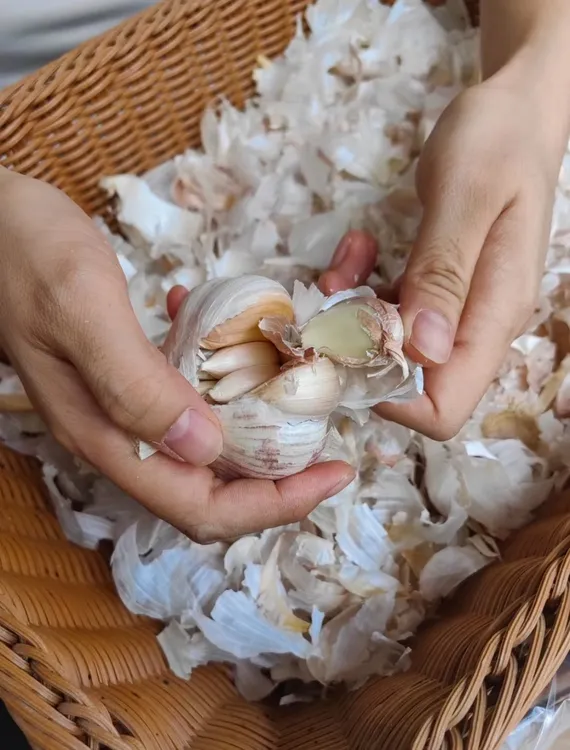 【新鲜现挖】农家干蒜现摘现发农家蒜蒜香十足