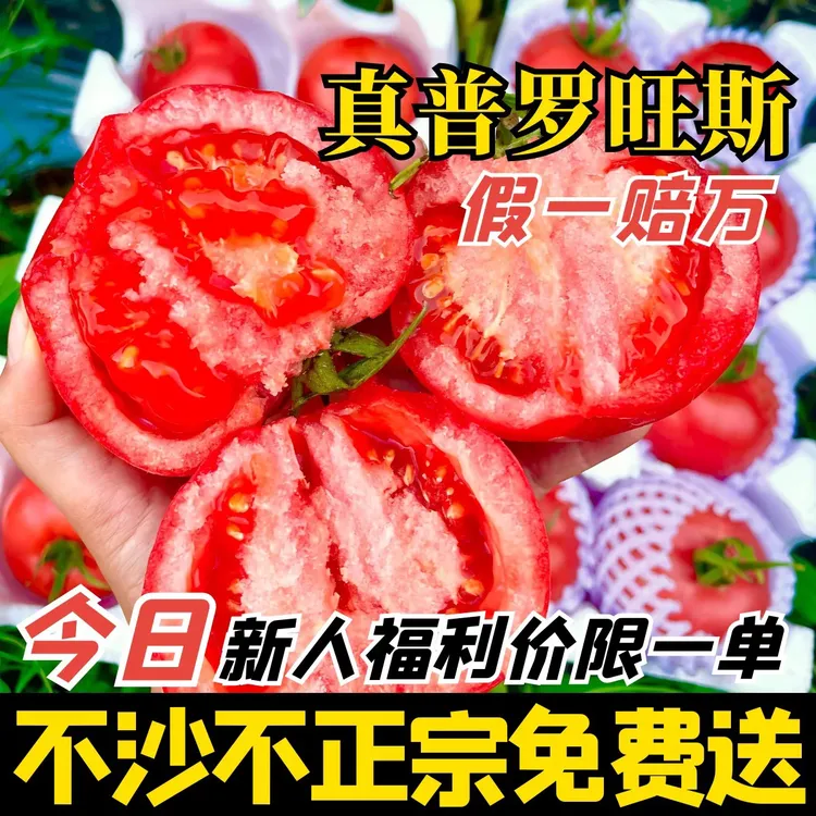普罗旺斯正宗陕西生吃西红柿泾阳新鲜沙瓤蔬菜番茄纯天然水果柿子商品图