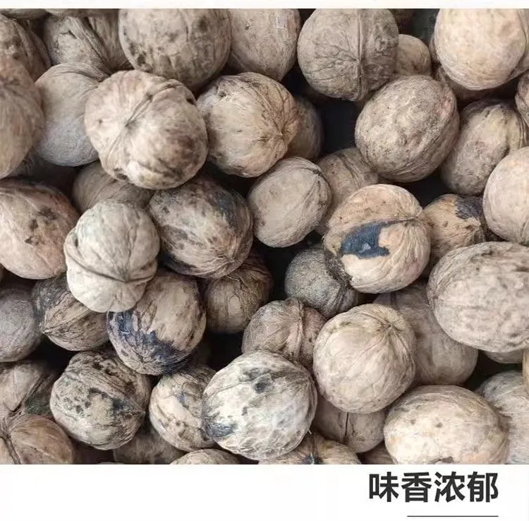 多多天山果源西域美农新疆特产温宿纸皮小核桃休闲零食核桃好剥