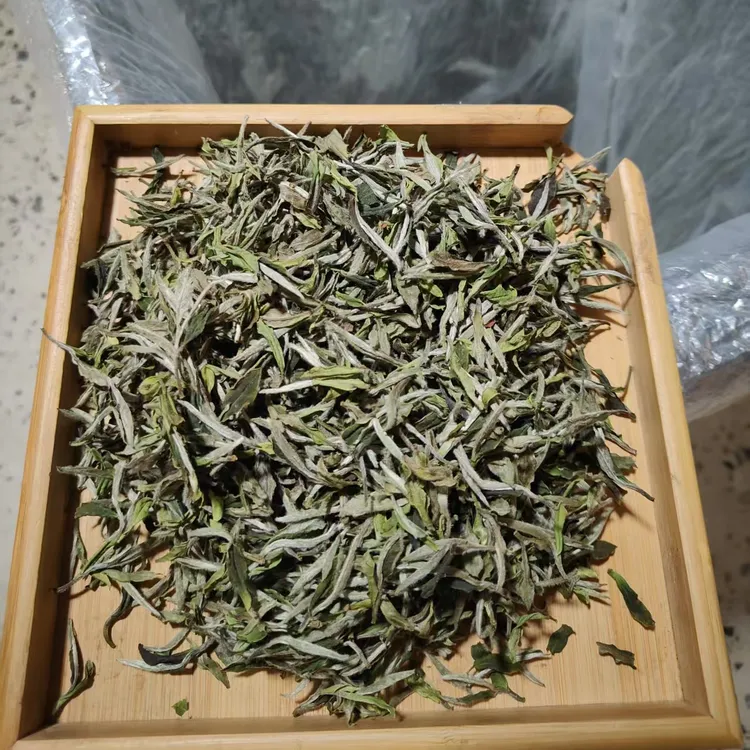 2025年白牡丹散茶