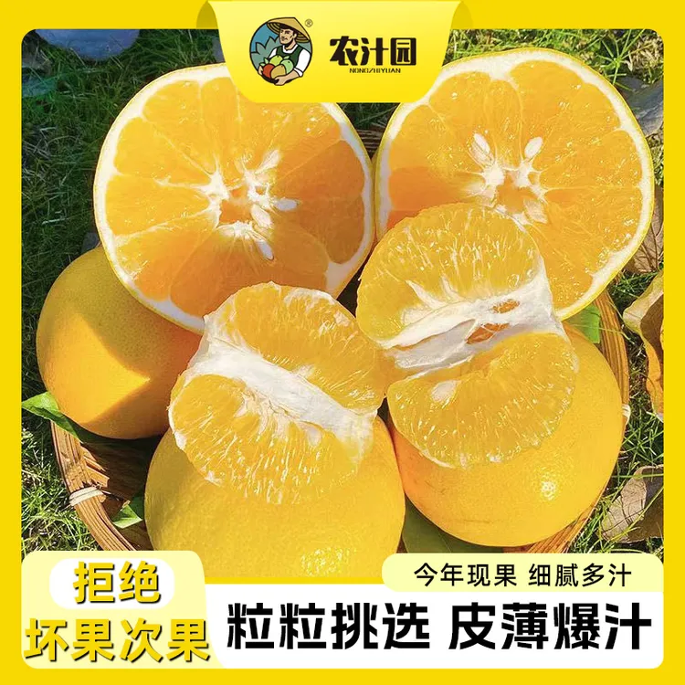黄金葡萄柚爆汁柚超甜薄皮当季福建平和清甜新鲜采摘孕妇水果多汁