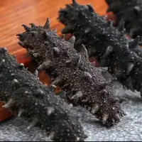  [一言妈妈中秋专场]  海参干货