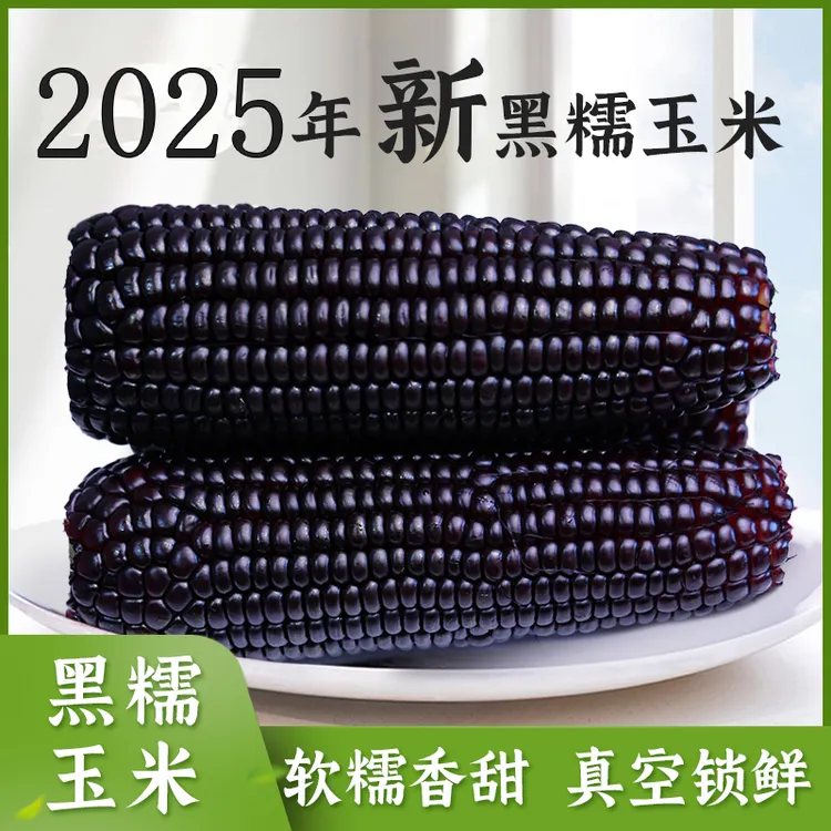 逅甜2025年头茬黑糯玉米真空包装低脂8支240克/根低糖轻食商品图