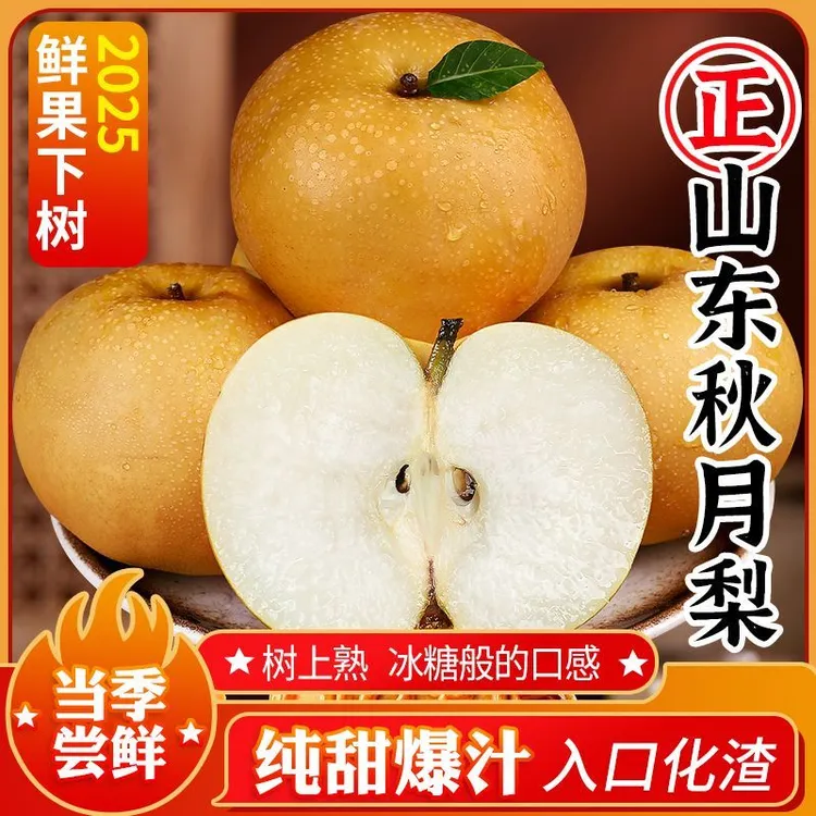 【现摘现发】正宗山东秋月梨新鲜当季现摘大果薄皮脆甜多汁水果梨
