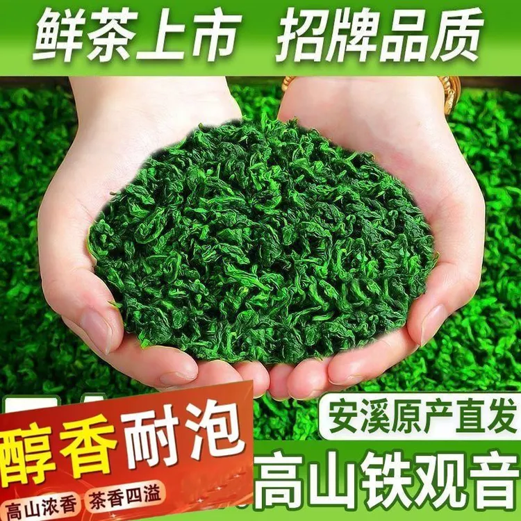 【产地】正宗铁观音新茶 安溪浓香型兰花香高山茶叶古法铁观音茶叶