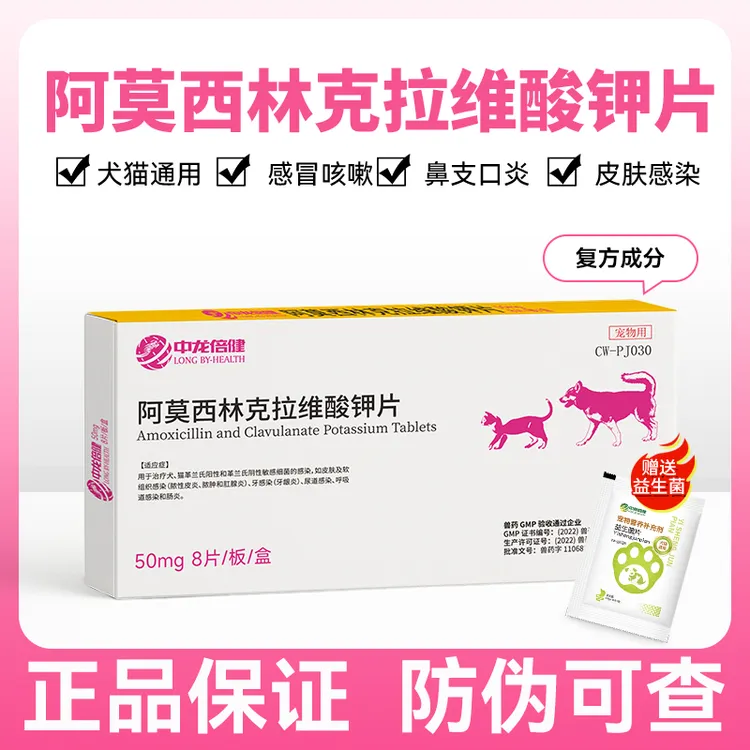 宠物消炎片倍健速鼻支猫咪感冒药诺克拉维酸钾阿莫西林片消炎药