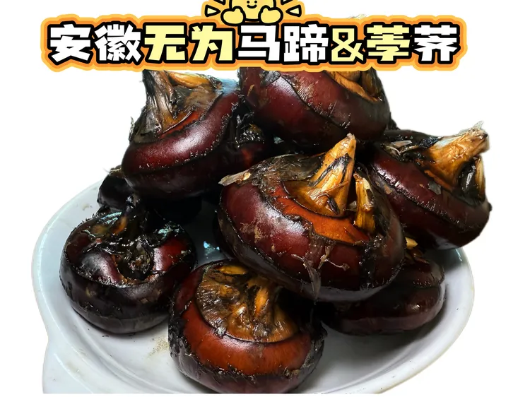 安徽无为现挖新鲜荸荠马蹄果农家当季水果蔬菜