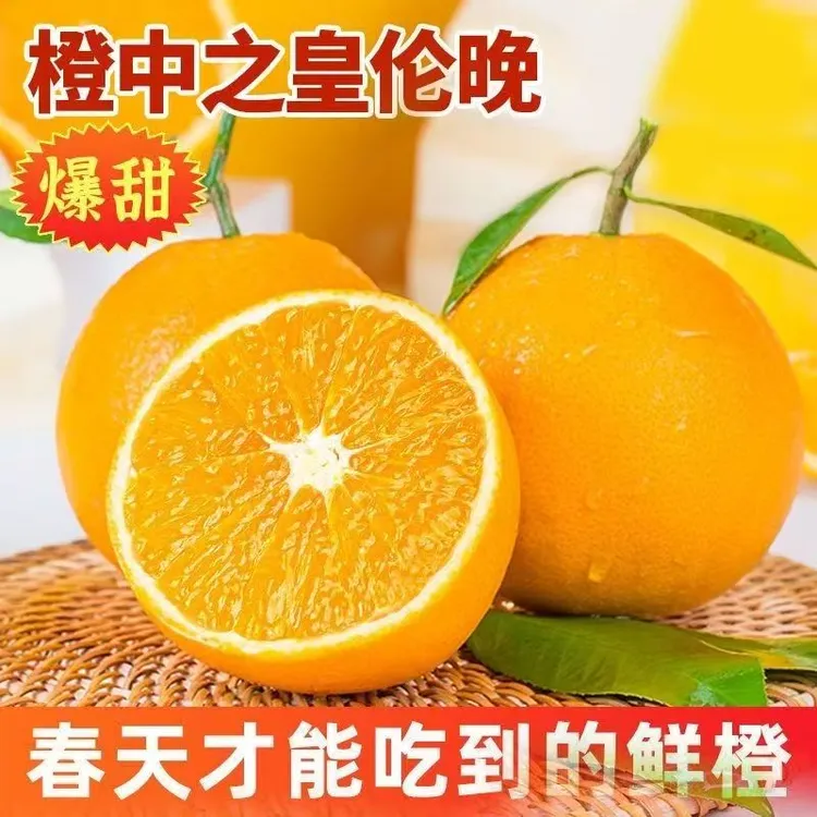 正宗伦晚春橙子新鲜采摘应季水果带箱5斤包邮