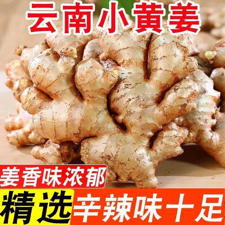 正宗云南小黄姜现挖山地种植香味浓郁辛辣适中2025年现挖新老姜