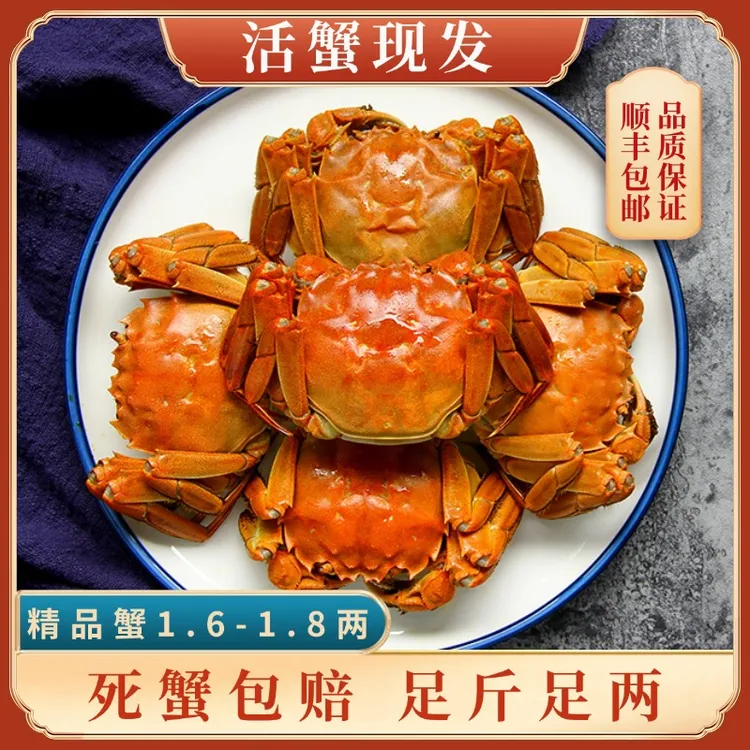 【活蟹】姑苏水乡苏州精品河蟹公母随机1.6-1.8两1.5斤-3斤顺丰包邮